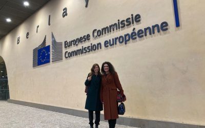 The annual Heads of EC Representations meeting